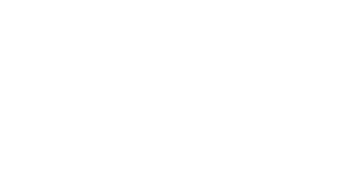 Popov Leather logo