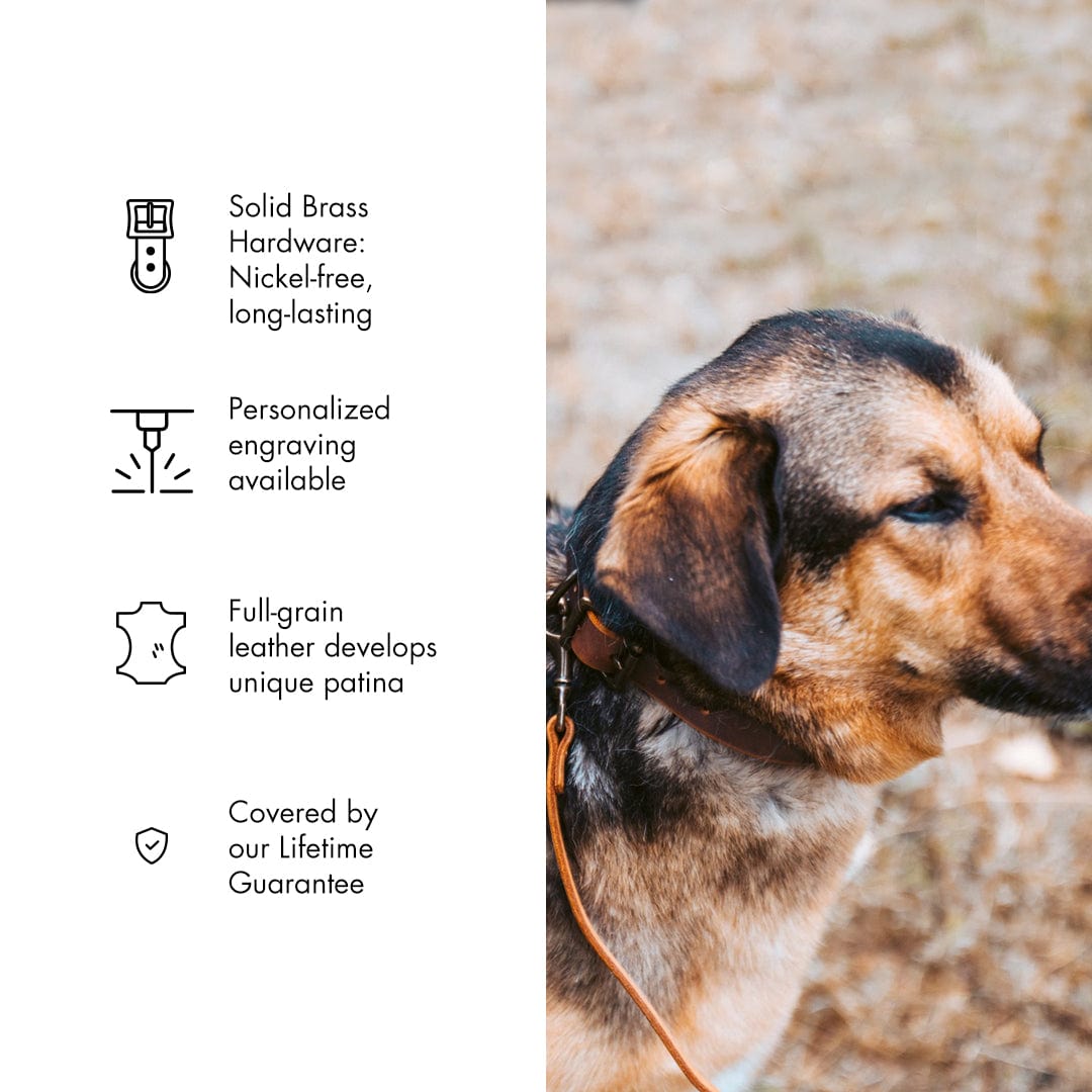 Leather Dog Collar Popov Leather®